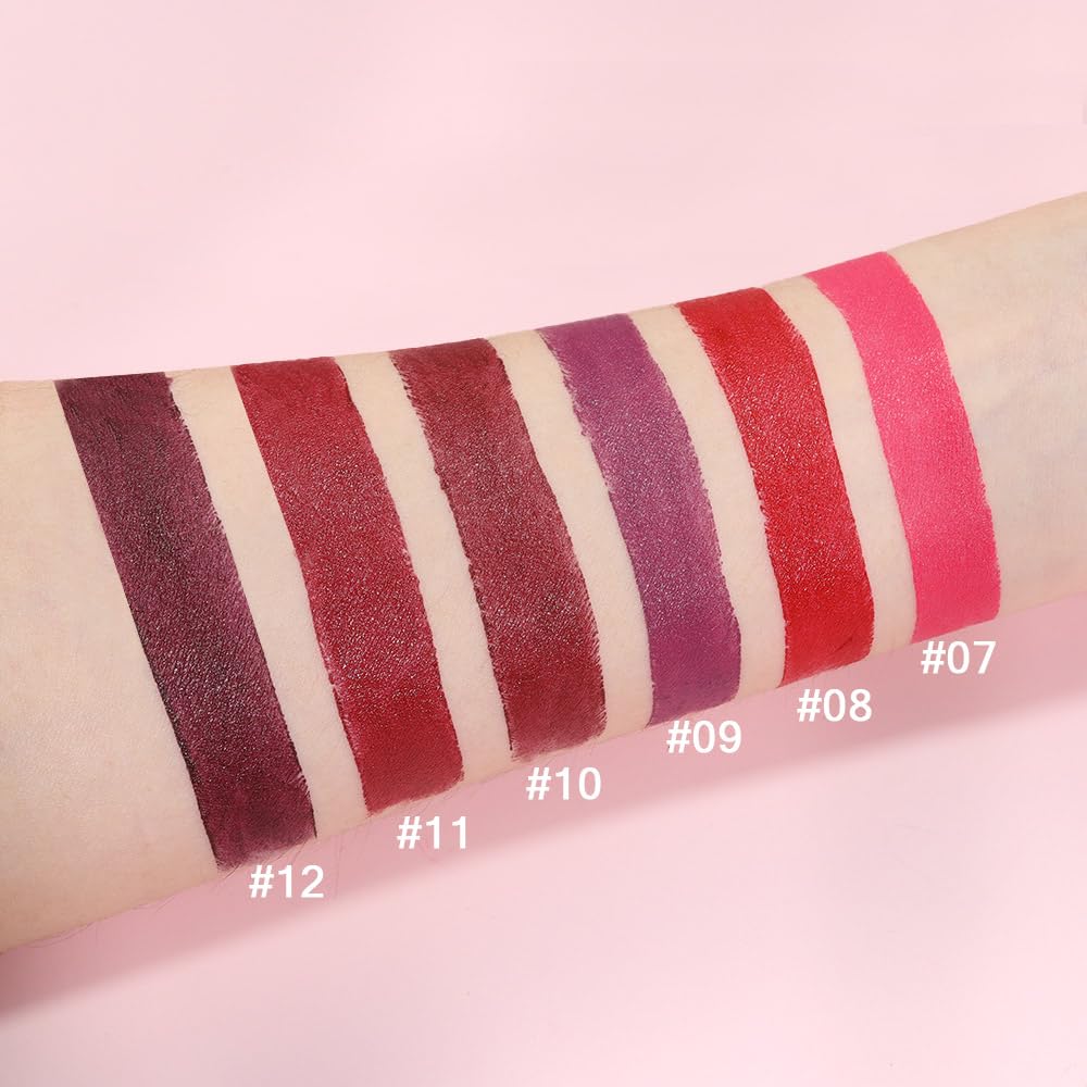 evpct 6Pcs Pink Dark Ruby Wine Red Plum Purple Matte Lipstick Sets for Women Velvet Lipstick Long Lasting Waterproof 24 Hours Lip Stick Stain Makeup Gift Set labiales mate 24 horas originales B